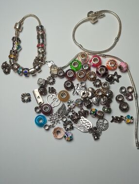 Bracelet And Charm Bundle Lot